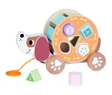 Product image of TOOKY TOY პატარა ძაღლი ფორმების სამყაროში - საუკეთესო მეგზური პირველ ნაბიჯებზე