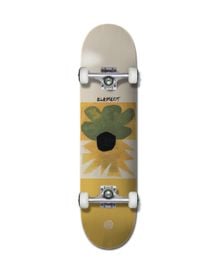 Product image of DAY LEGS 8"