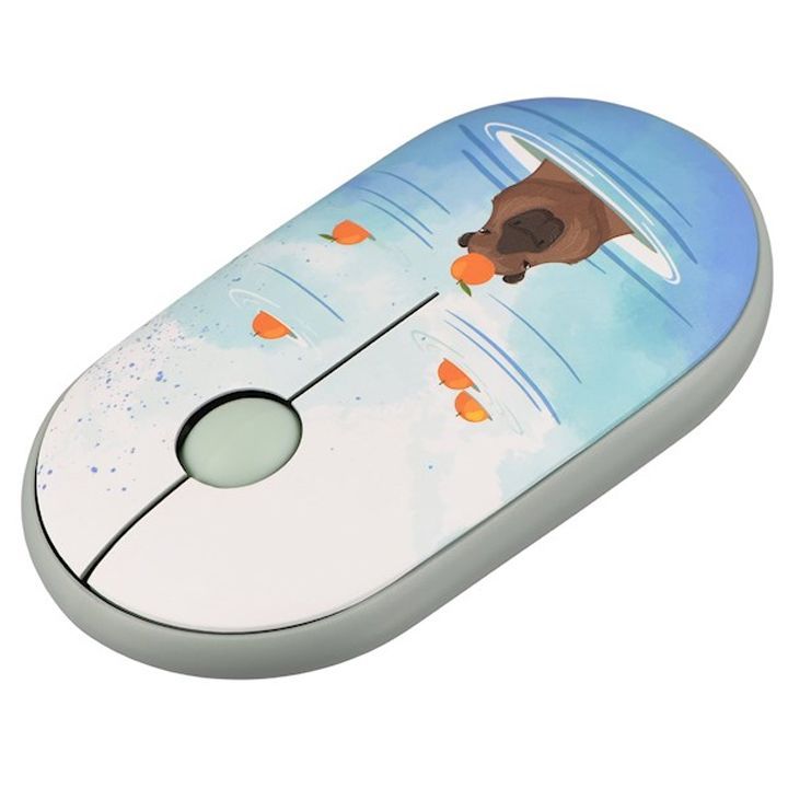 2e-mf300-capybara-usadeno-mausi-photo-3