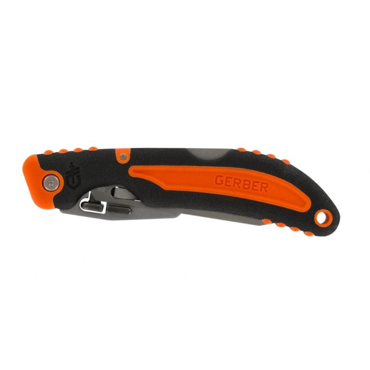gerber-vital-fldr-dasaketsi-dana-photo-2