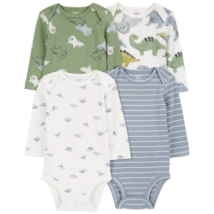 carters-bodeebis-nakrebi