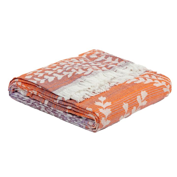 manamo-elisa-gadasafarebeli