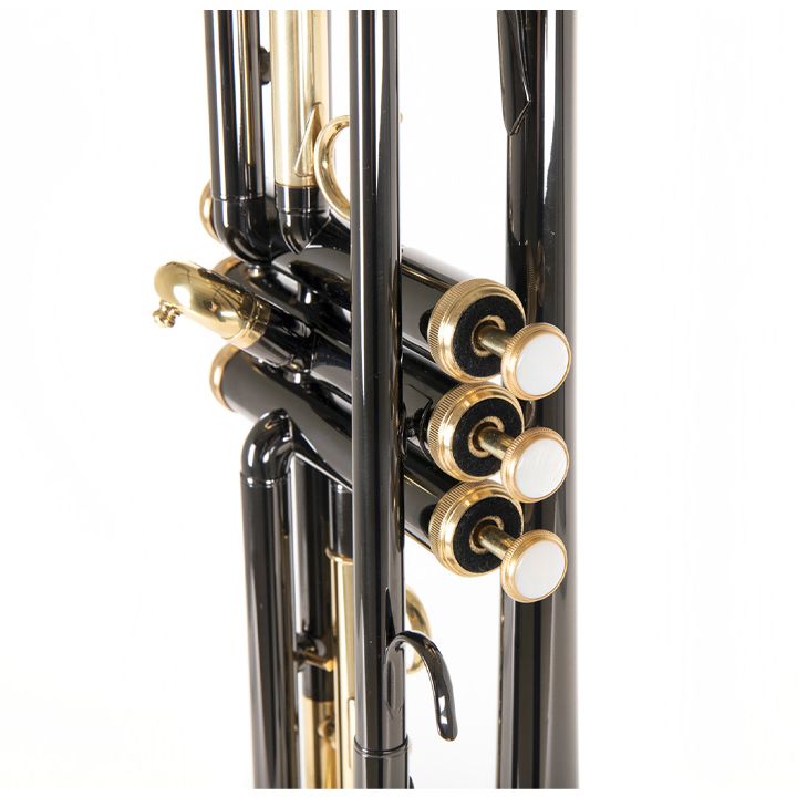 roy-benson-tr-101k-saqviri-photo-4