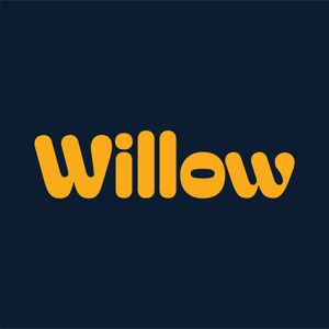 Willow • ვილოუ logo