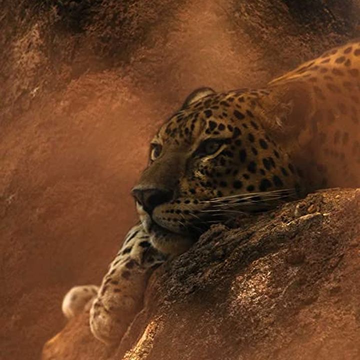 yves-rocher-sable-fauve-edp-sunamo-photo-4