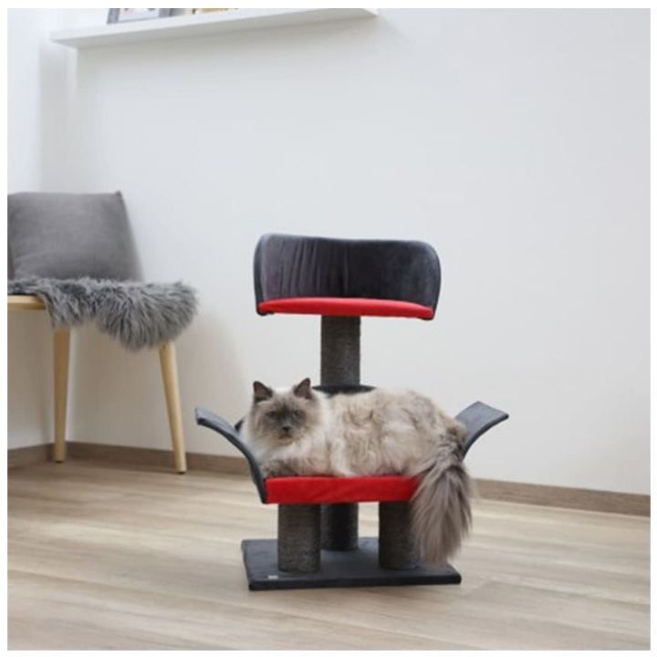 kerbl-savardzeli-katistvis-photo-3