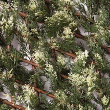 Product image of კვიპაროსის დეკორატიული გისოსი