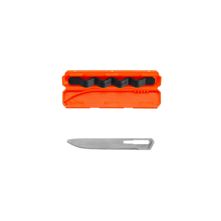 gerber-vital-big-game-rep-bldsdp-satadarigo-danis-pirebi-photo-4