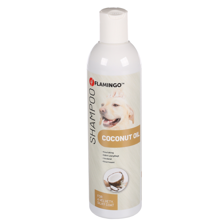flagino-shampoo-coco-300ml-dzaghlis-shampuni
