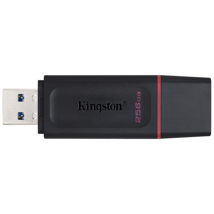 kingston-dtx-256gb-usb-flesh-mekhsiereba-photo-4