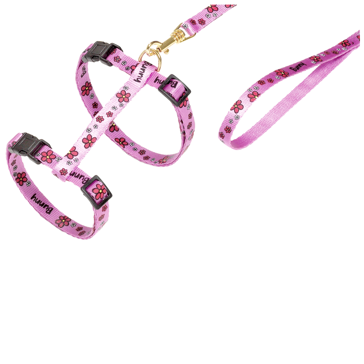 flamingo-katis-sabeli