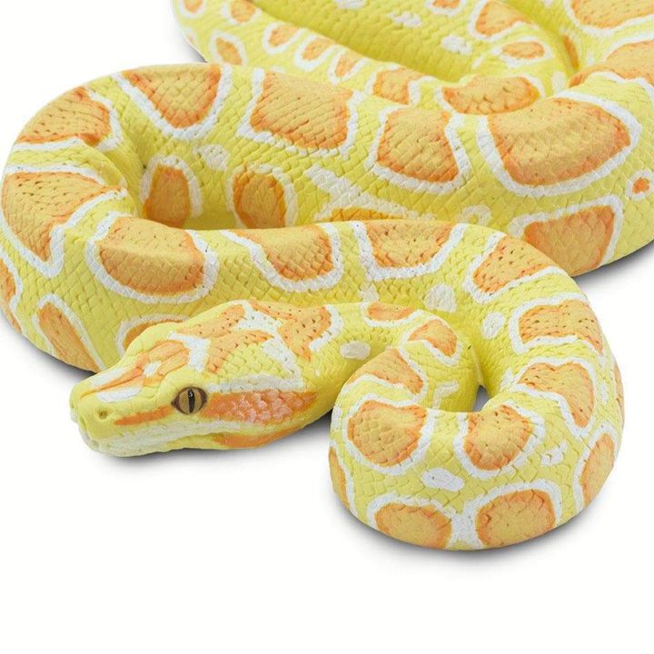safari-albino-burmese-python-satamasho-figura-photo-3