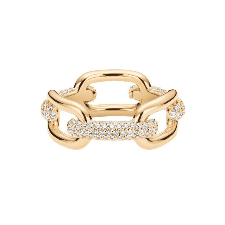 daniel-wellington-dw00400601-qalis-bechedi