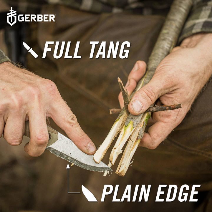 gerber-principle-dasaketsi-dana-photo-2