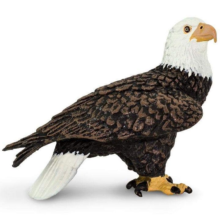 safari-bald-eagle-toy-satamasho-figura