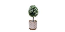Product image of Nisse ხელოვნური მცენარე 30 სმ