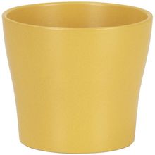 Product image of SCHEURICH 808/17 CURCUMA კერამიკის ქოთანი