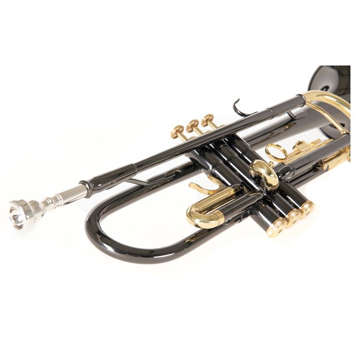 roy-benson-tr-101k-saqviri-photo-2