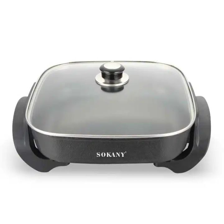 sokany-sk-2005-pitsis-satskhobi-eleqtro-tafa-photo-3