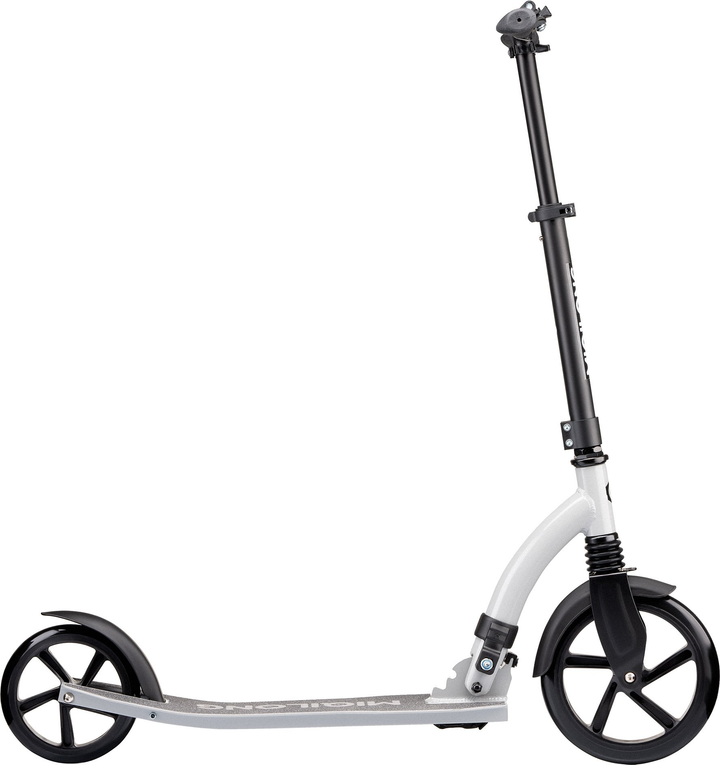 skuteri-miqilong-beagle-200-gray-photo-3