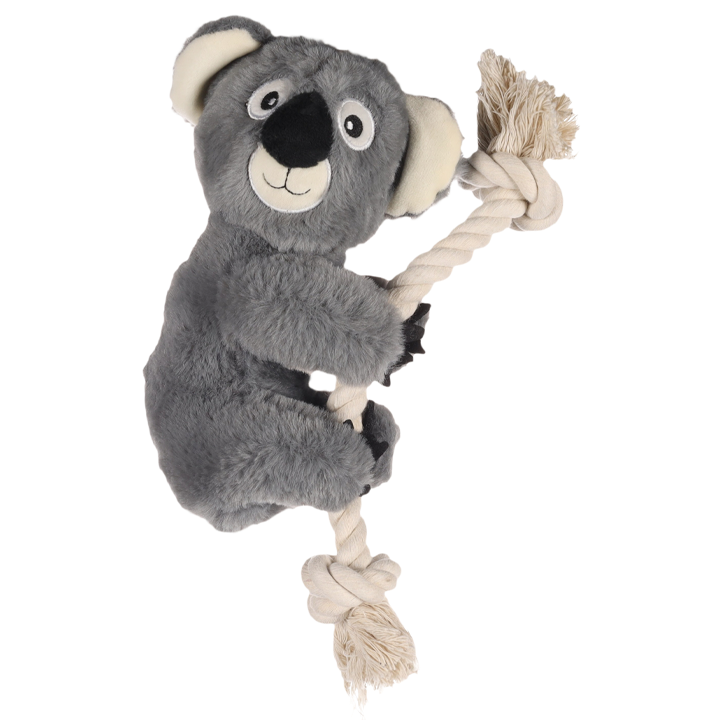 flagino-dt-hangta-koala-dzaghlis-satamasho-photo-2