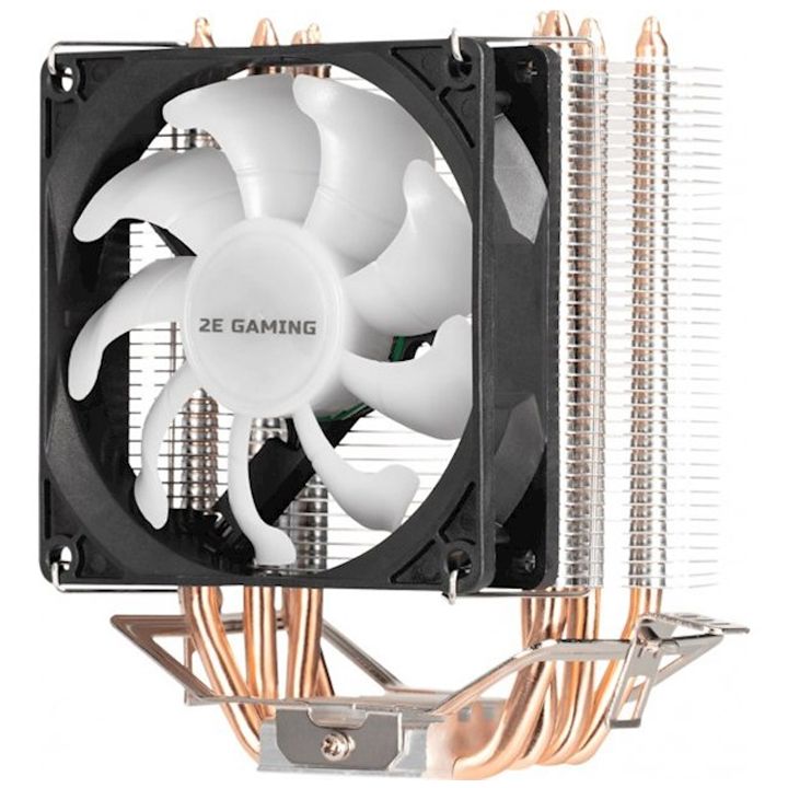 2e-2e-ac90d4-rgb-rgb-protsesoris-quleri-photo-4