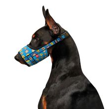 Product image of COLLAR ძაღლის ნეილონის ალიკაპი ზომა 3   (25-34სმ)