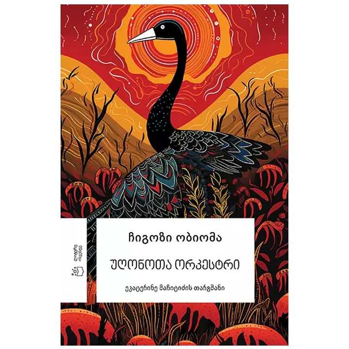 chigozi-obioma---ughonota-orkestri