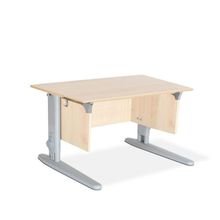 Product image of სამეცადინო მაგიდა ერგო ეკო 100