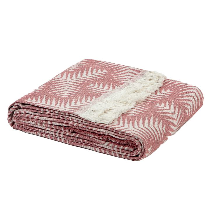 manamo-dasia-gadasafarebeli