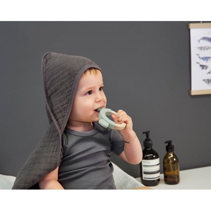 lassig-teether-ring-little-chums-dog-chvilis-satamasho-photo-3