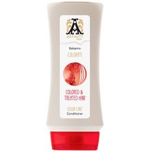 Product image of AFFINITY CARE BLUEBERRY&ALOE 300მლ შეღებილი თმის კონდიციონერი