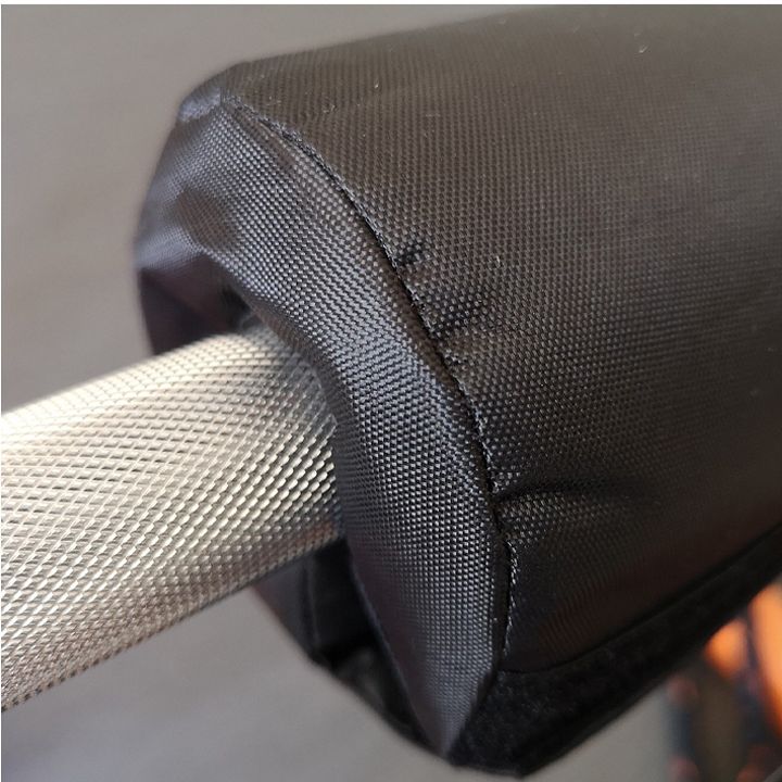 sveltus-gherdzis-damtsavi-sirbile-photo-2