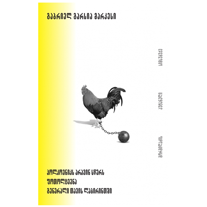 gabriel-garsia-markesi---polkovniks-aravin-stsers-fotoltsvena-generali-tavis-labirintshi