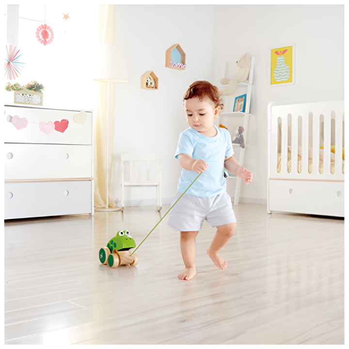 hape-pull-along-frog-khelit-satarebeli-khis-baqaqi-photo-3