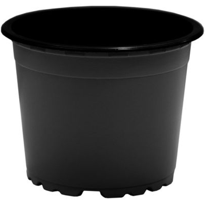 350-l-plastmasis-qotani-shavi