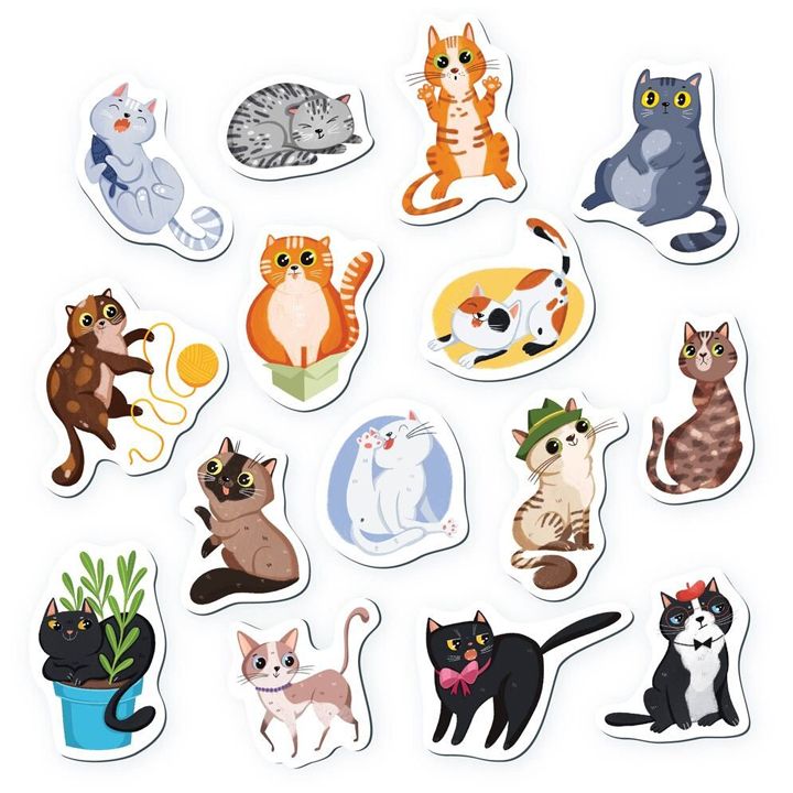 satamasho-magnitebi-fisuniebi-photo-3