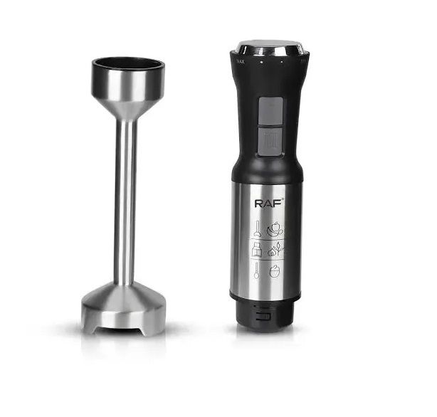 raf-r294-500w-khelis-blenderi-photo-3