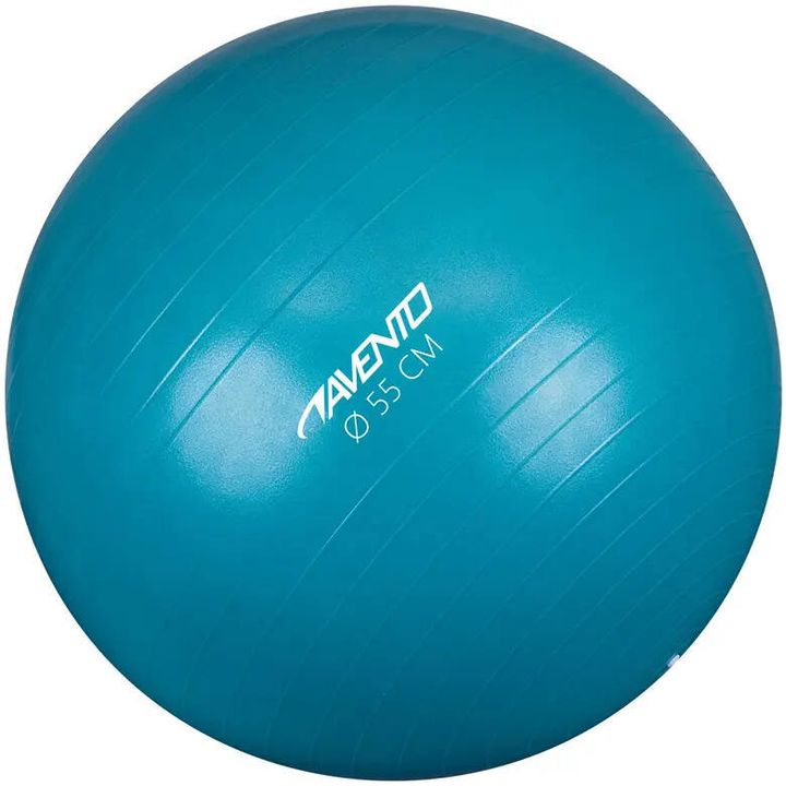schreuderssport-fitnessgym-ball-55-cm-fitnesis-burti