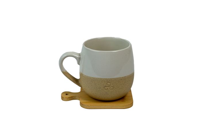 bambukis-chiqis-dasadgami-photo-2