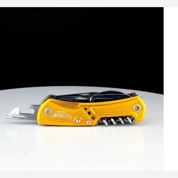 hoteche-9-1-shi-mravaljeradi-jibis-dana-photo-2