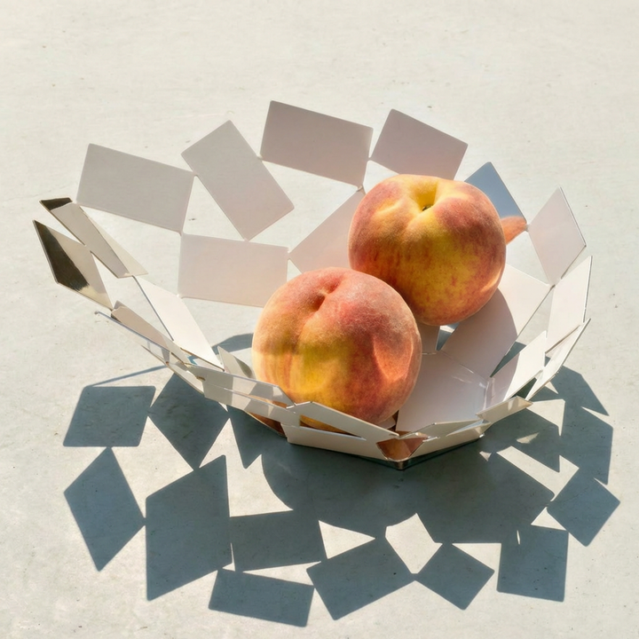 fly-sakhile-metalis-photo-2