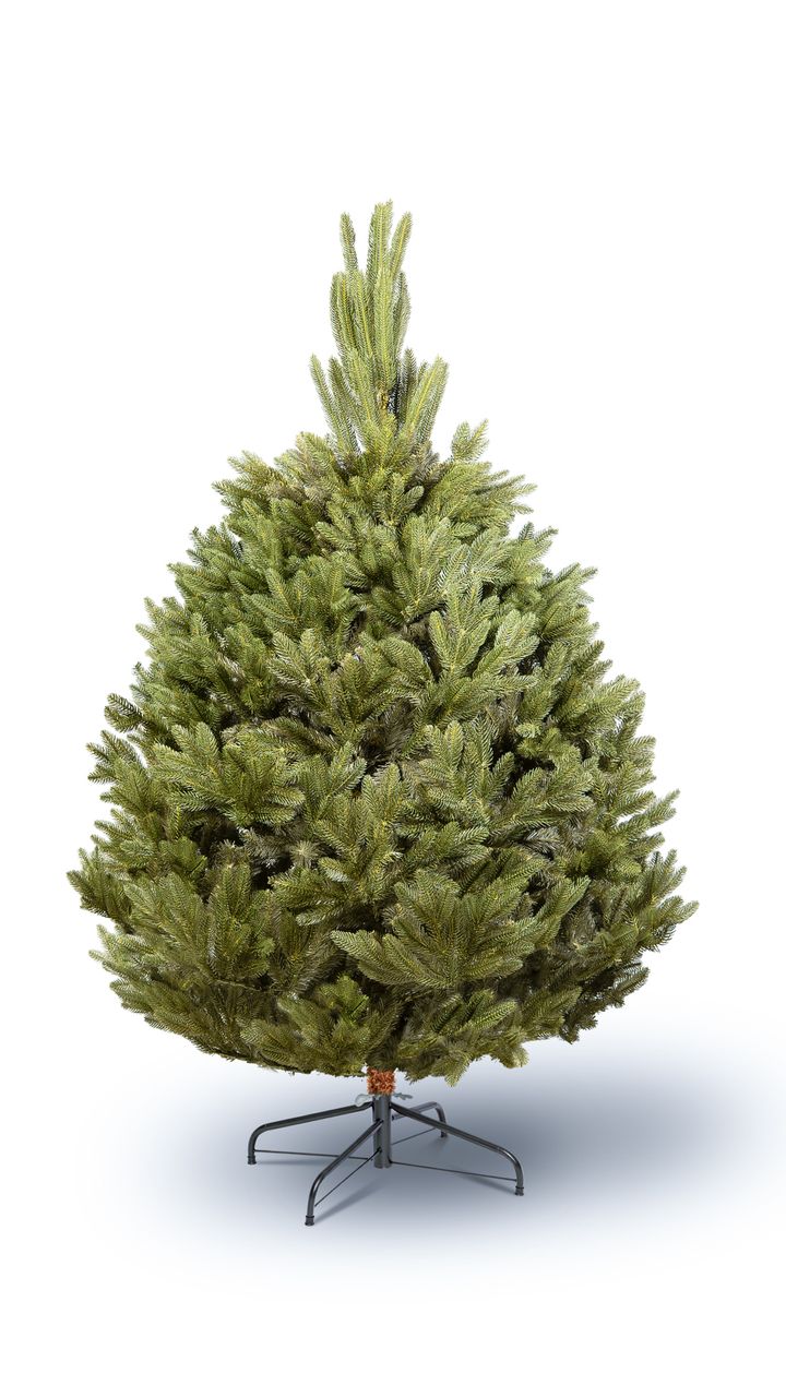 aqate-180sm---dizaineruli-nadzvis-khe-shako-da-ninosgan