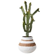 Product image of LABORATORY MY HOME ქოთანი