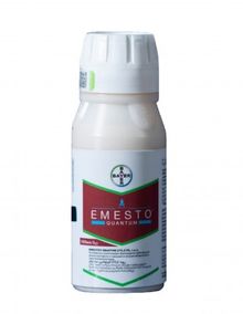 Product image of ემესტო კვანტუმი