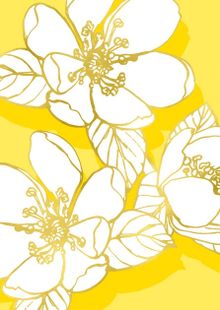 Product image of მისალოცი ბარათი PELO