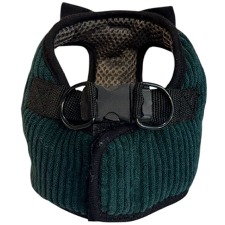 petsup-sabeli-photo-2