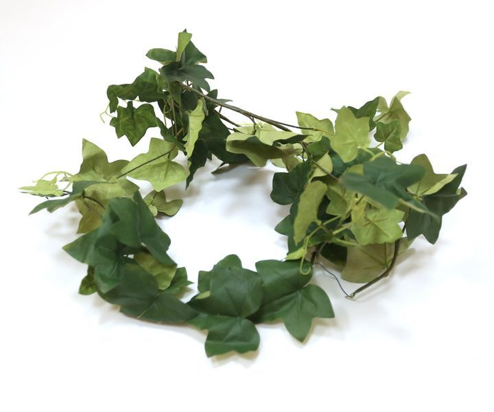 laboratory-my-home-khelovnuri-mtsenare