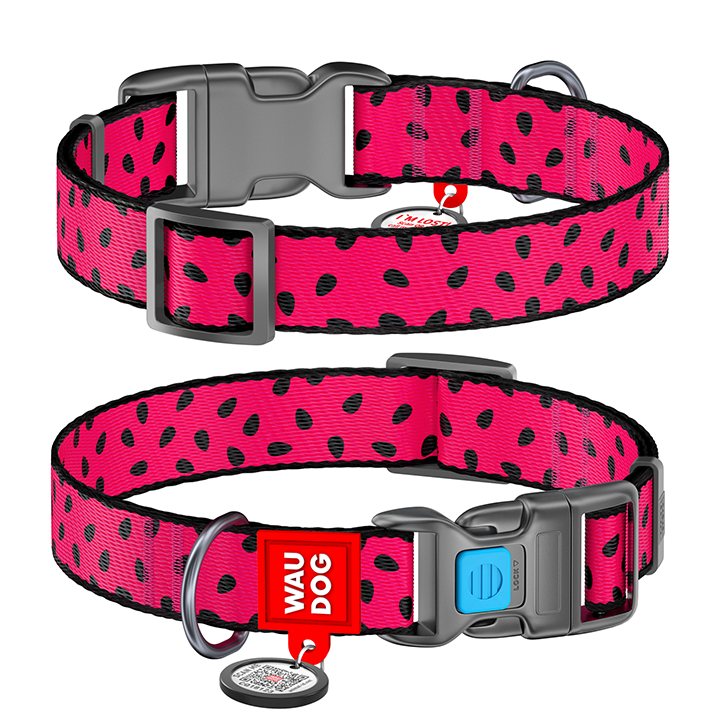 waudog-nylon-qr-dzaghlis-saqelo-neilonisgan-nakhati-sazamtro-25mm35-58-sm