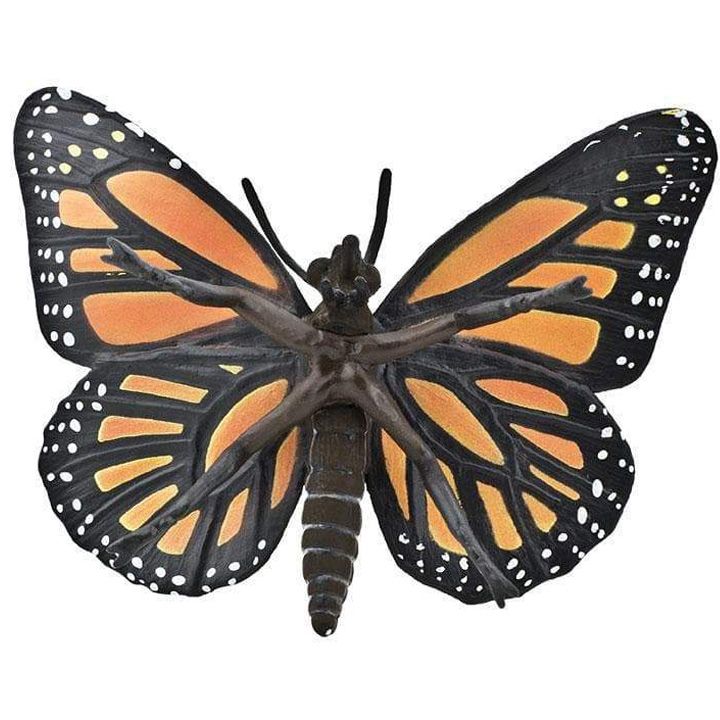 safari-monarch-butterfly-satamasho-figura-photo-2